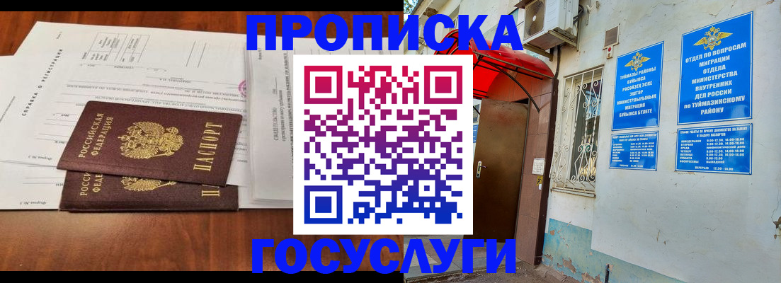 прописка в квартире в Звенигово